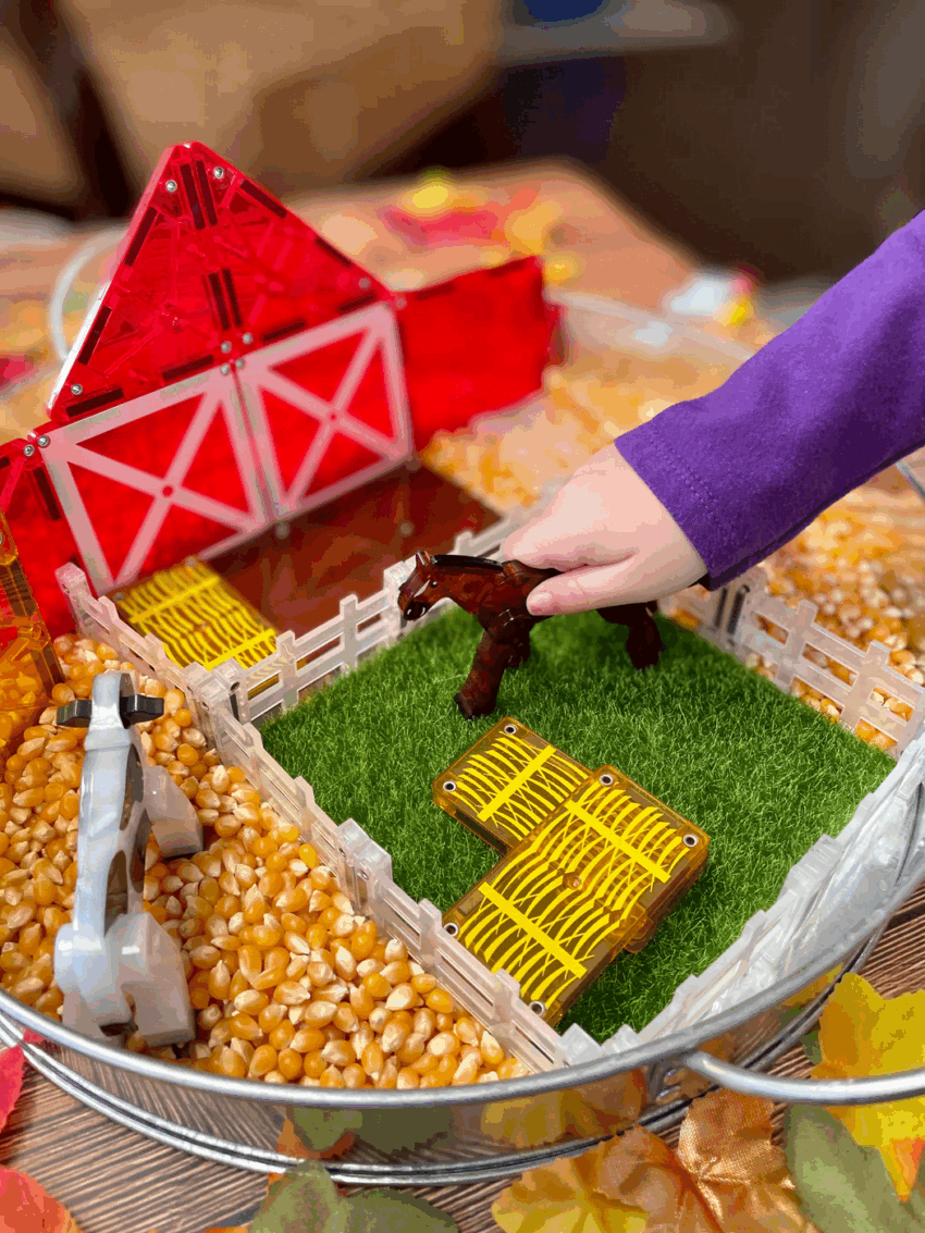 magna tiles farm animals 25 piece