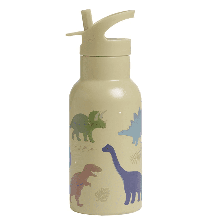 rvs drinkfles dinosaurussen 350ml