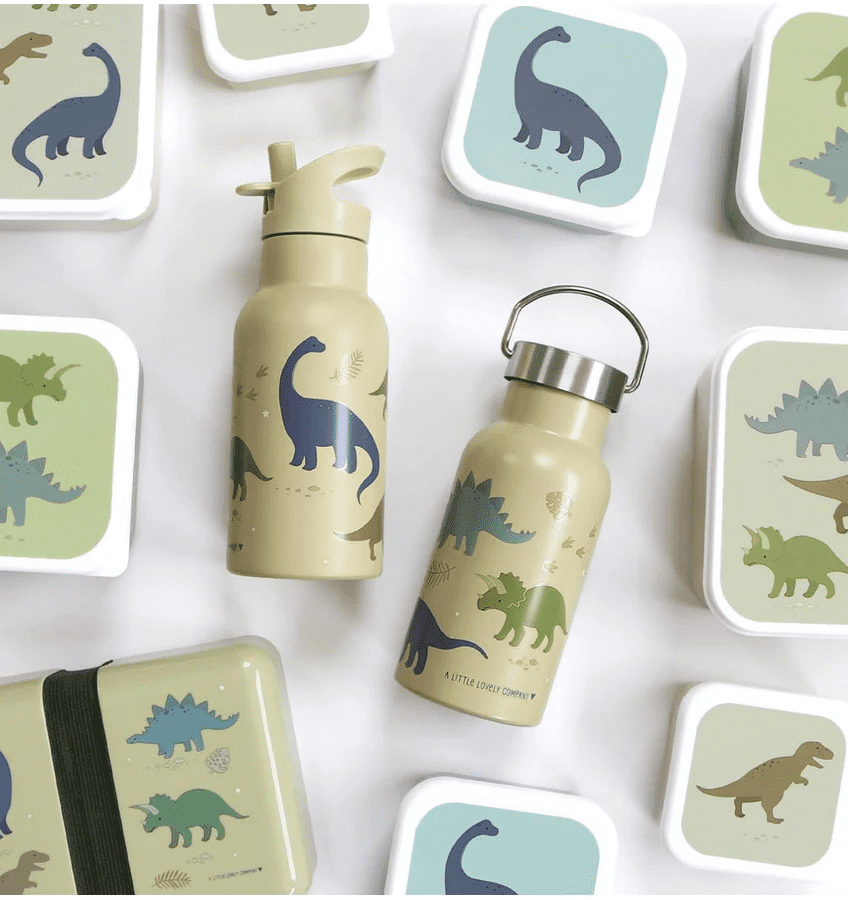 rvs drinkfles dinosaurussen 350ml