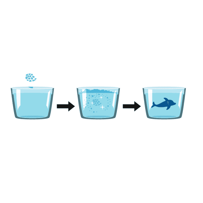 bruisbom zeedieren 4 assorti