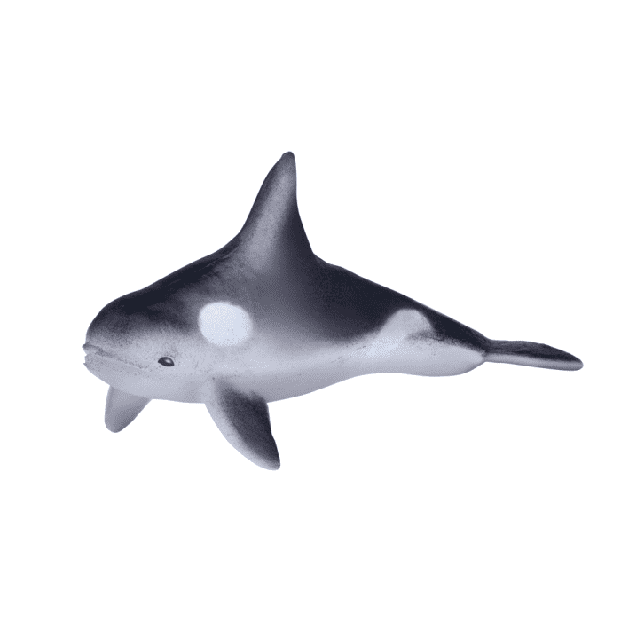 bruisbom zeedieren 4 assorti