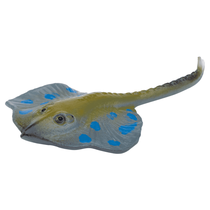 bruisbom zeedieren 4 assorti