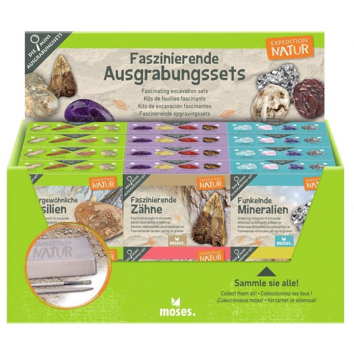 expeditie natuur mini uithakset 6 assorti