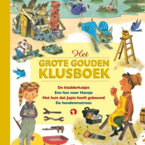 het grote gouden boek klusboek