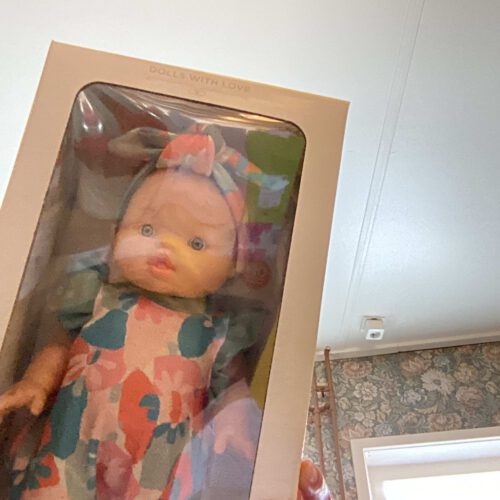 pop gordi meisje blank raky