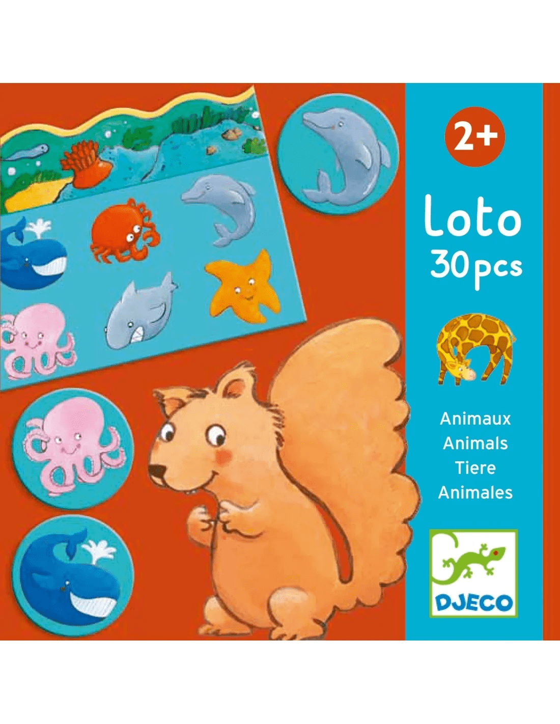 djeco memo, loto, domino dieren