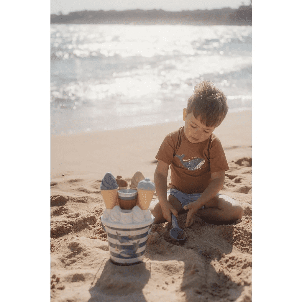 little dutch ocean world ijsjes emmerset 14 delig jongen