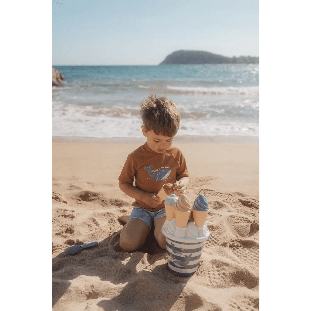 little dutch ocean world ijsjes emmerset 14 delig jongen