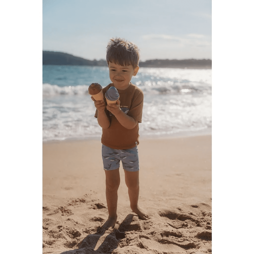 little dutch ocean world ijsjes emmerset 14 delig jongen