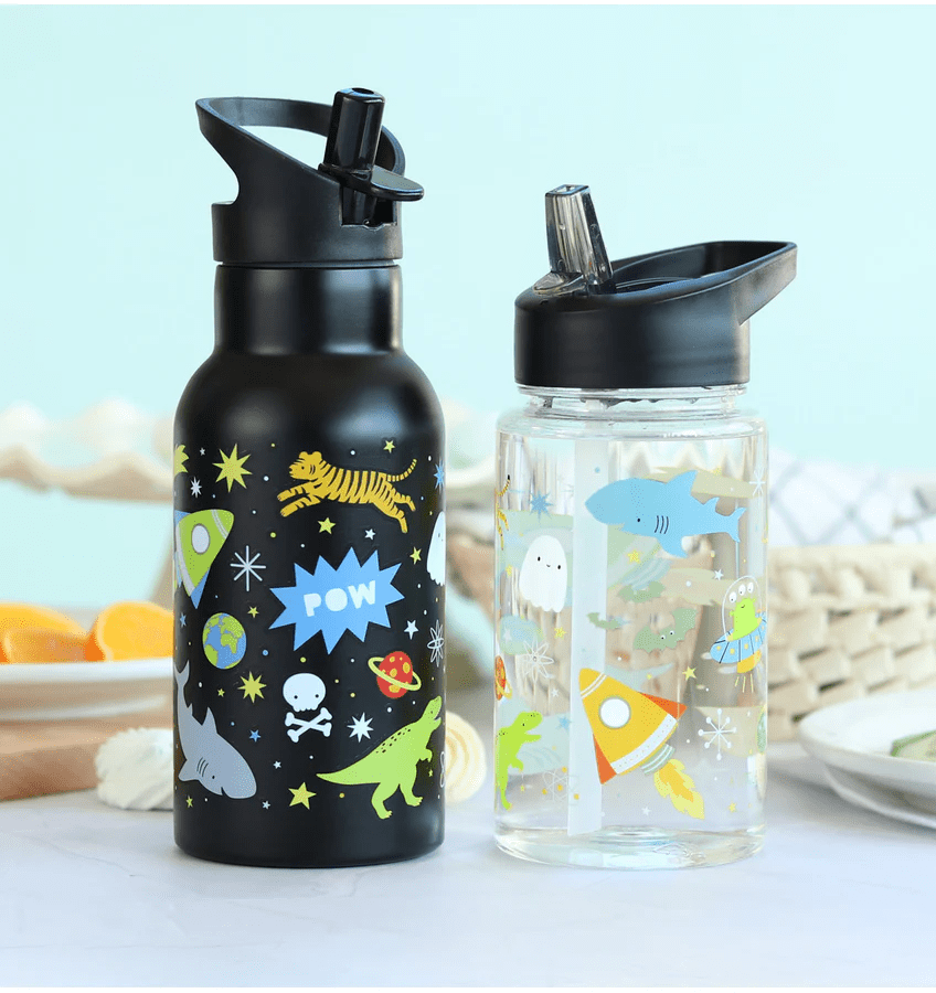 rvs drinkfles galaxy 350ml