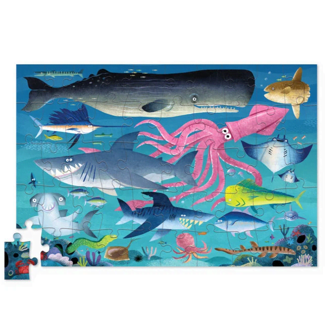 blik shark reef 50st.