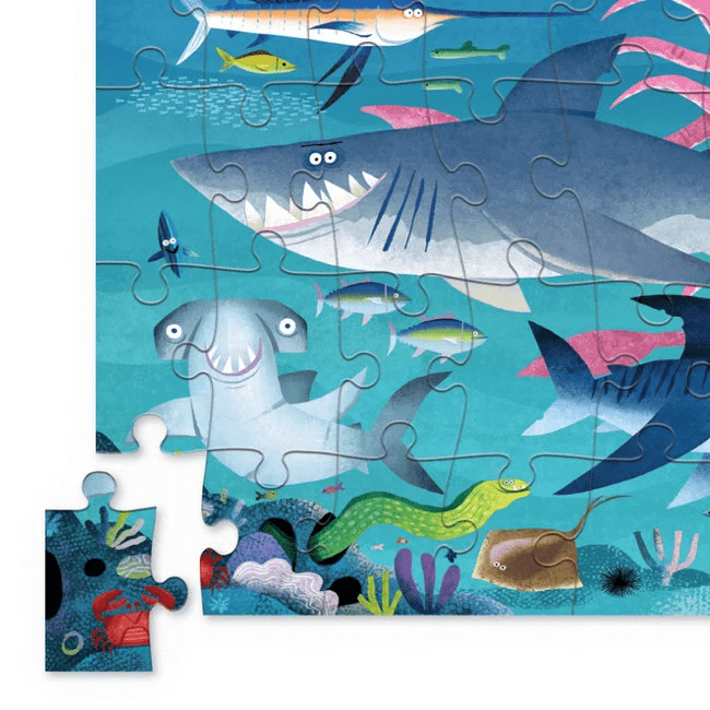 blik shark reef 50st.