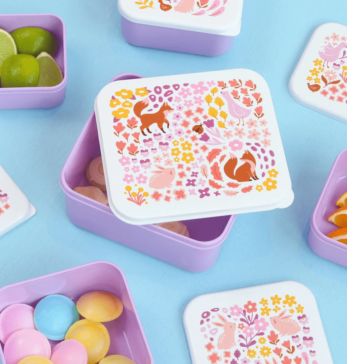 lunch en snack box set – bloementuin